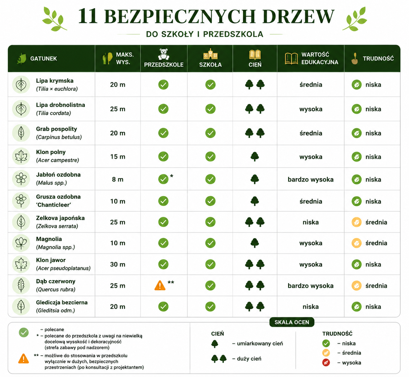 jakie bezpieczne drzewa do szkoły jakie bezpieczne drzewa przedszkole - bezpieczne drzewa dla dzieci
