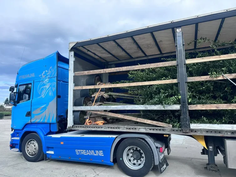 galeria-ogrodowa-transport-duzych-drzew
