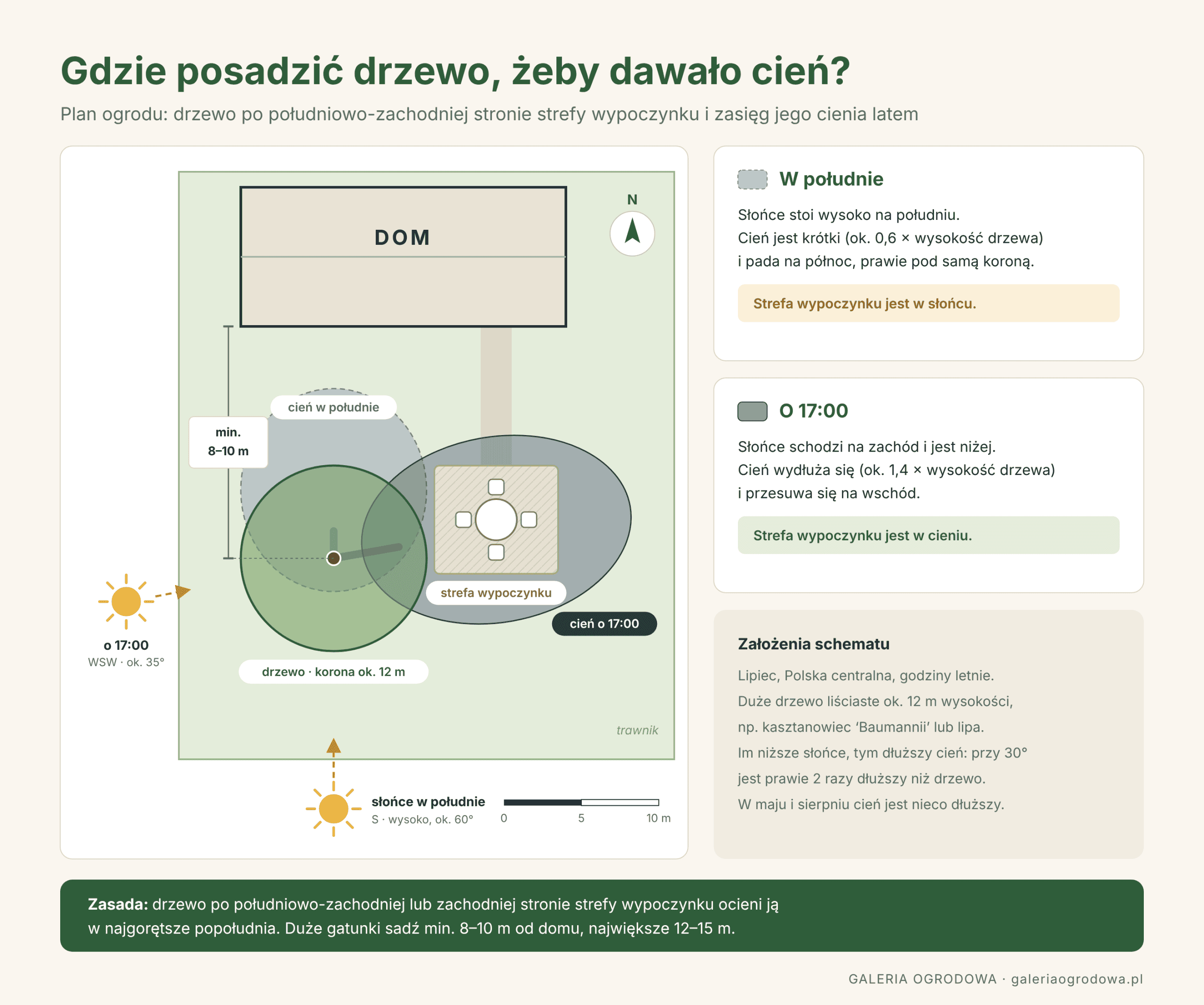 schemat-cien-drzewa-plan-ogrodu