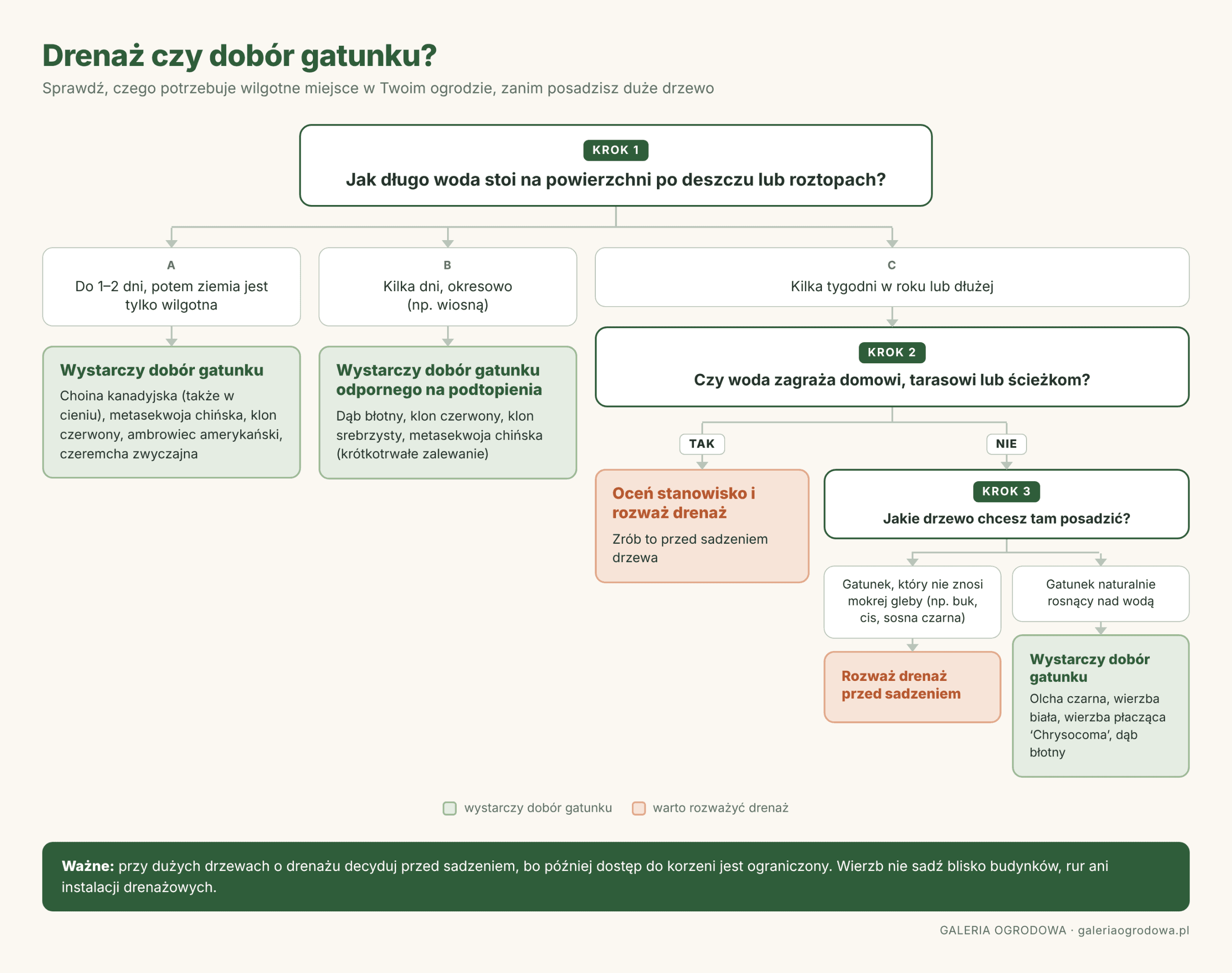 schemat-drenaz-czy-dobor-gatunku