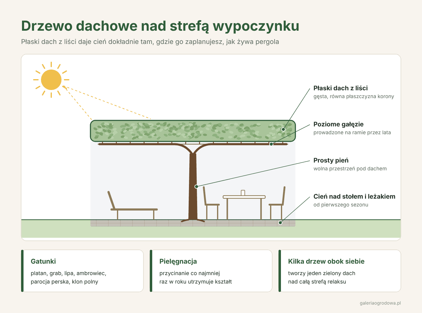 schemat-drzewo-dachowe-strefa-wypoczynku