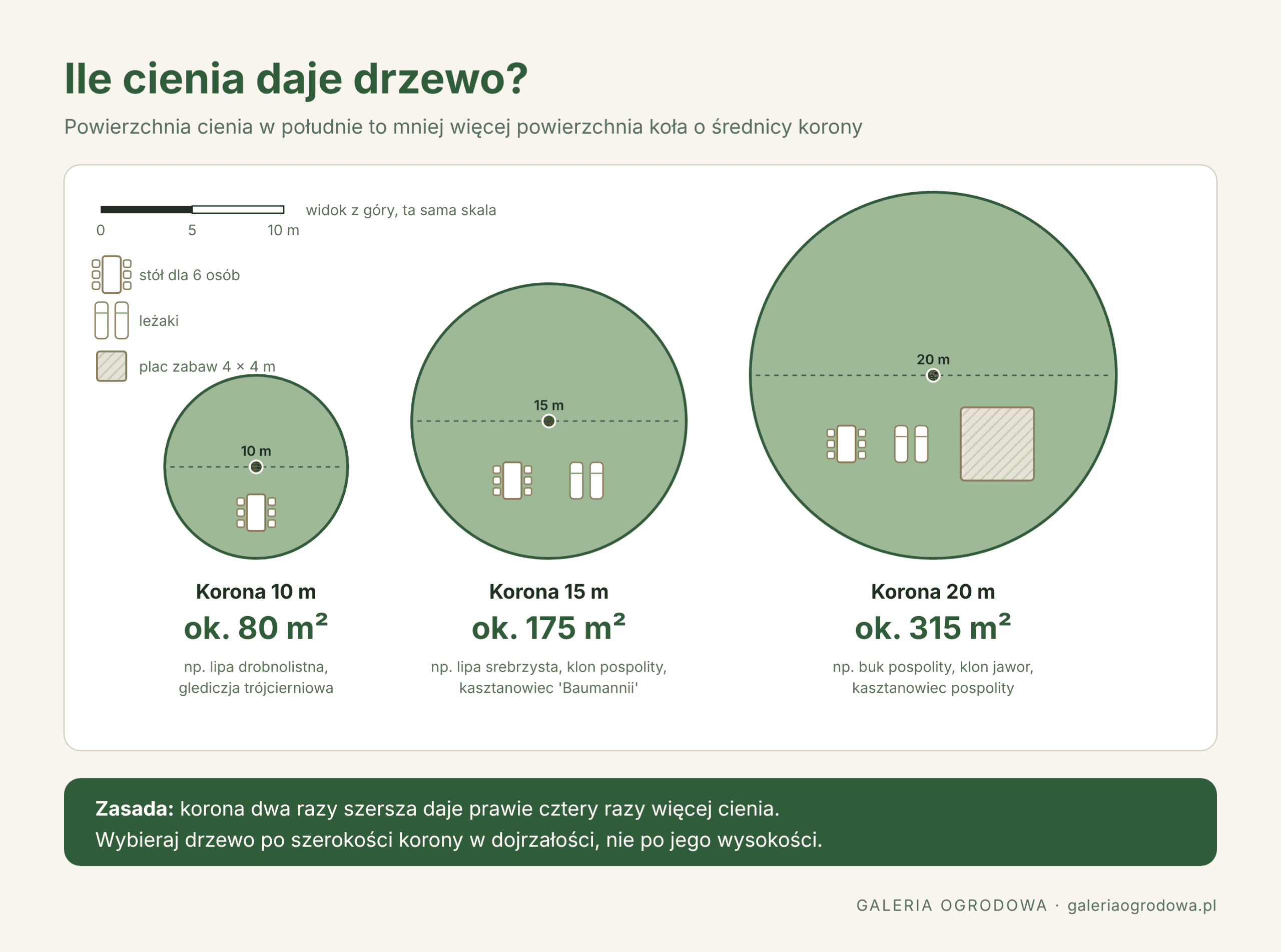 jakie duże drzewa do zacienienia ogrodu